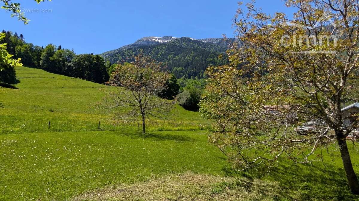 Terrain à SAINT-PIERRE-DE-CHARTREUSE