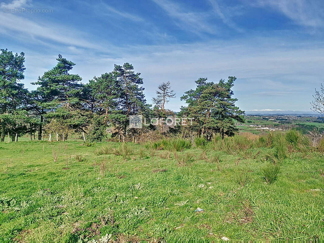 Terrain à CHAULHAC