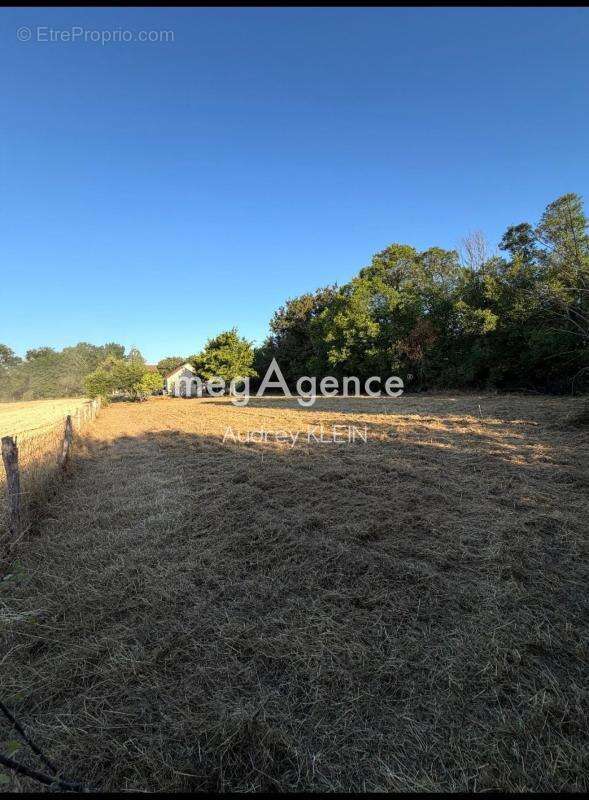 Terrain Constructible - photo 2