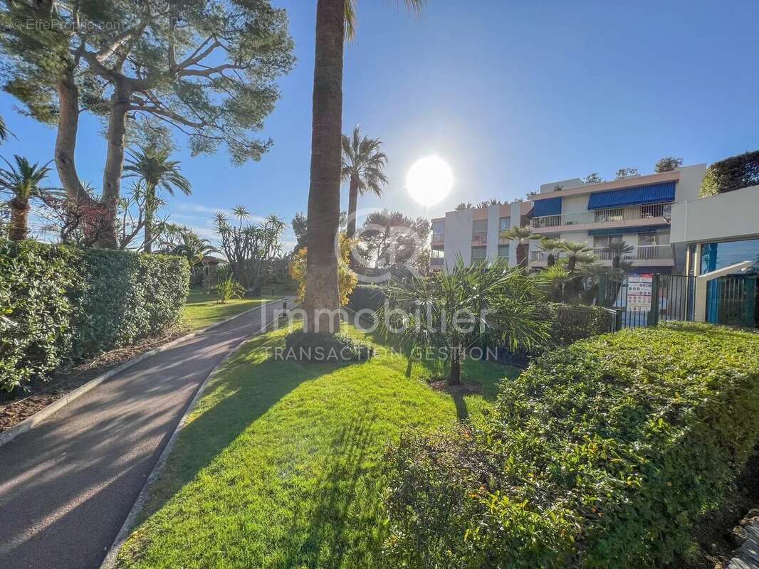 EXCLUSIVITE - Cannes - Bas Croix des Gardes - photo 19