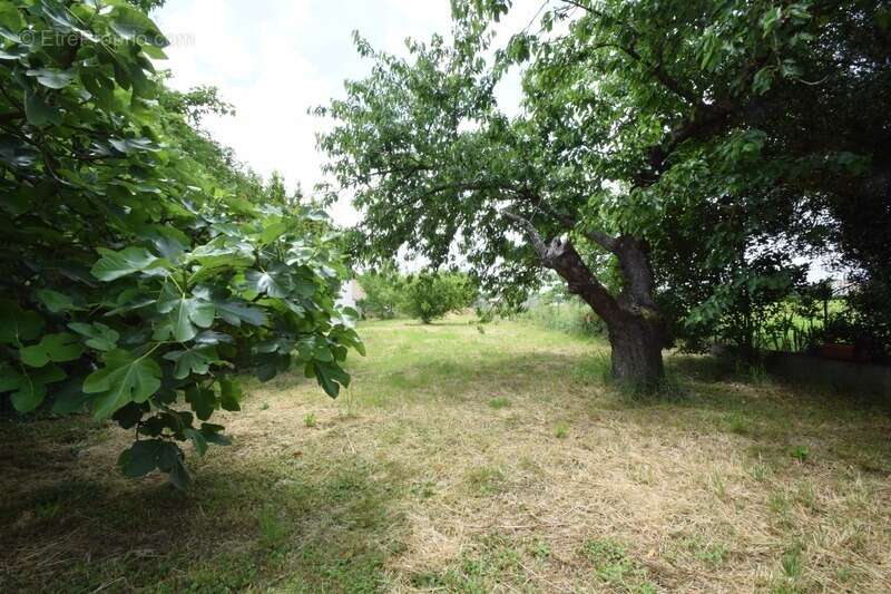 Maison à MAS-GRENIER