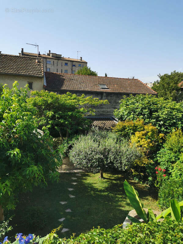 Maison première ceinture Avignon 3 chambres, garage, jardin - photo 15