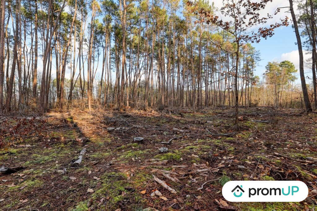 Terrain à VILLEFRANCHE-SUR-CHER