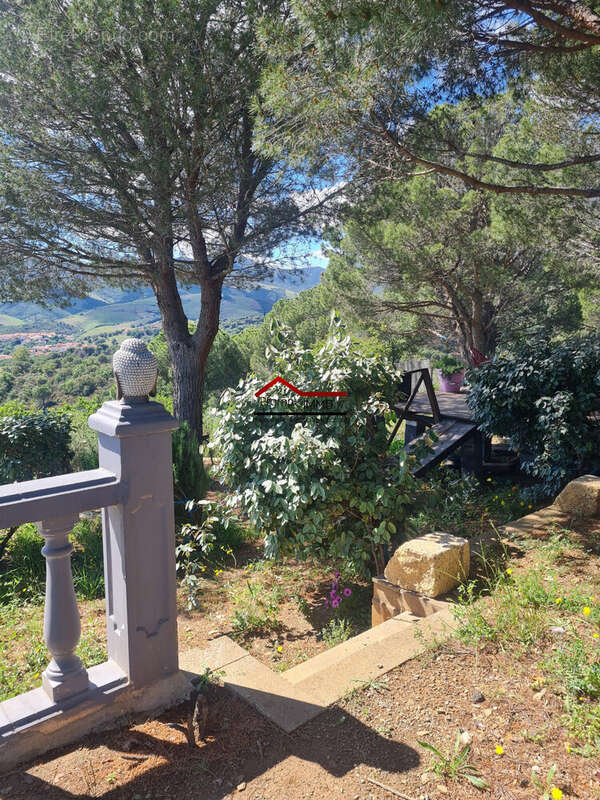 Terrain à BANYULS-SUR-MER