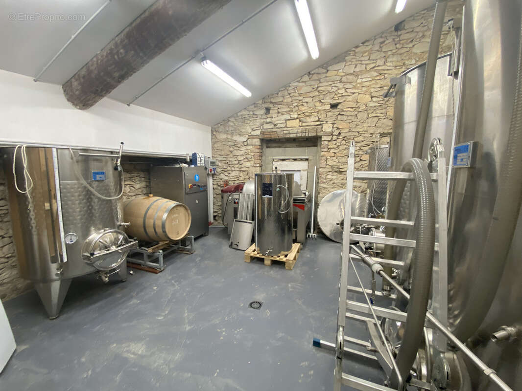 Domaine viticole confidentiel sur trois Crus de la Vallée du Rhône méridionale - photo 4
