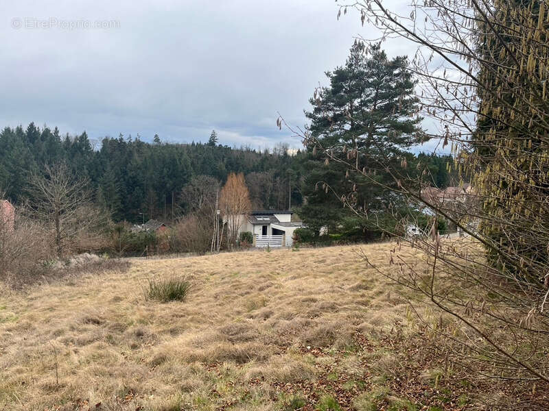 Terrain à OBERHASLACH