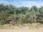 Terrain à ORGNAC-L&#039;AVEN