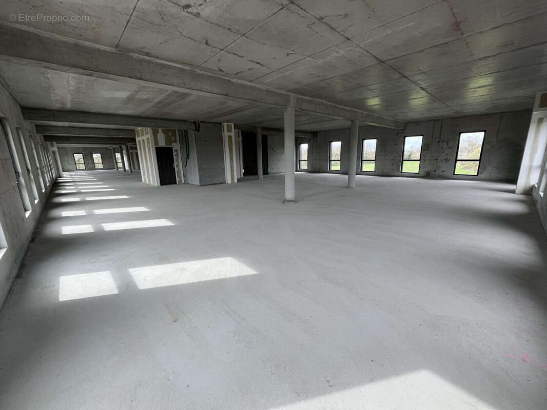 Commerce à GUIPAVAS