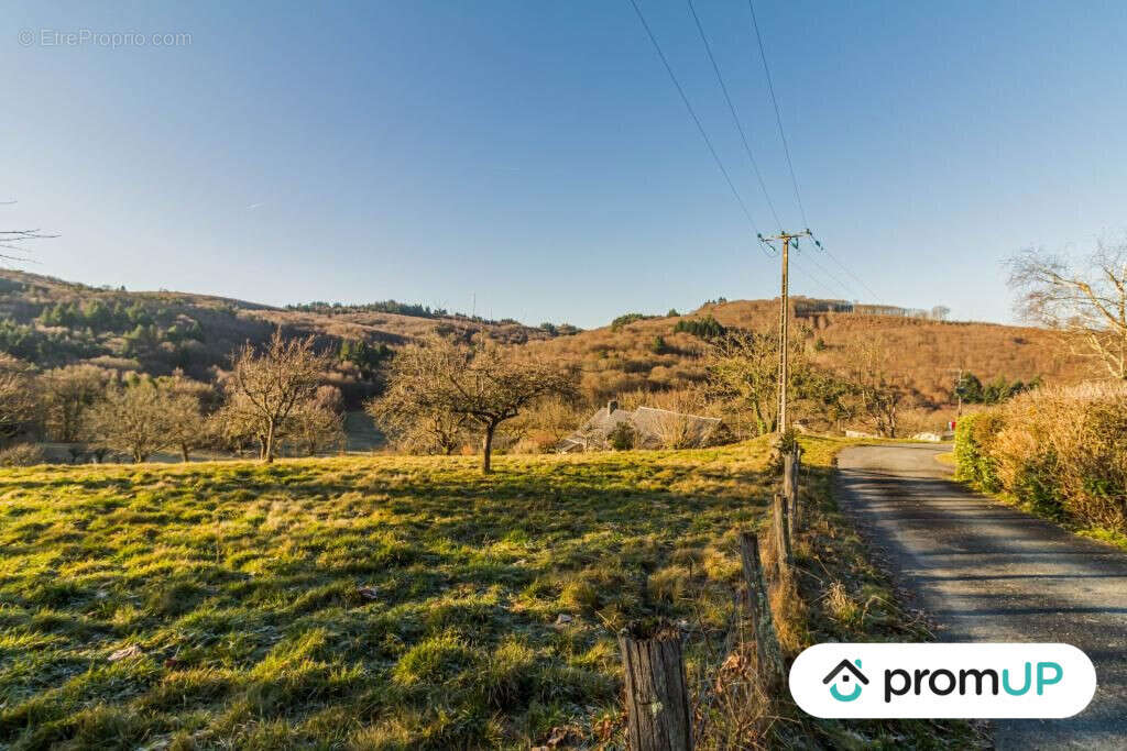 Terrain à SAINTE-FORTUNADE