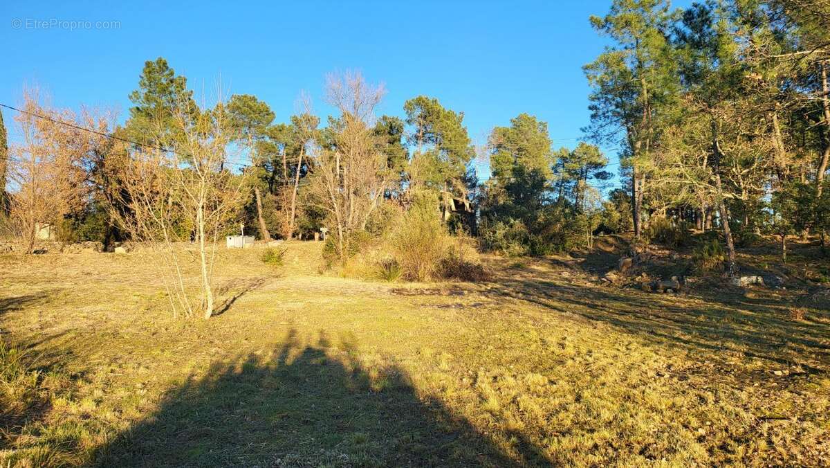 Terrain à LES ASSIONS
