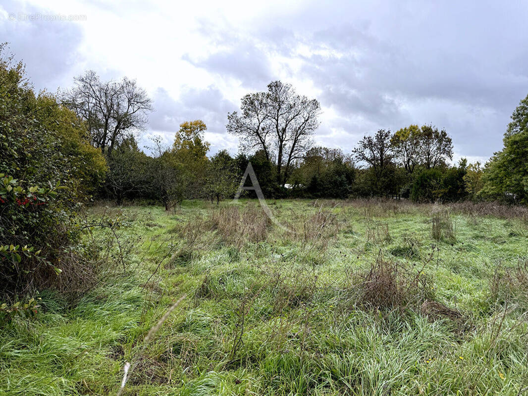 Terrain à SAINT-CYR-EN-TALMONDAIS