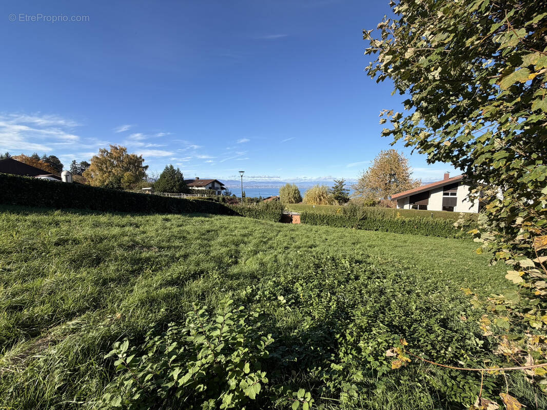 Terrain à NEUVECELLE