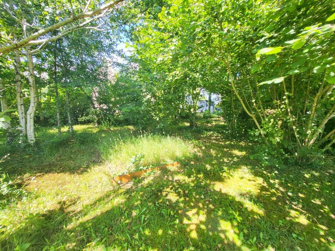Terrain constructible à vendre  ARGOL (29) - photo 6
