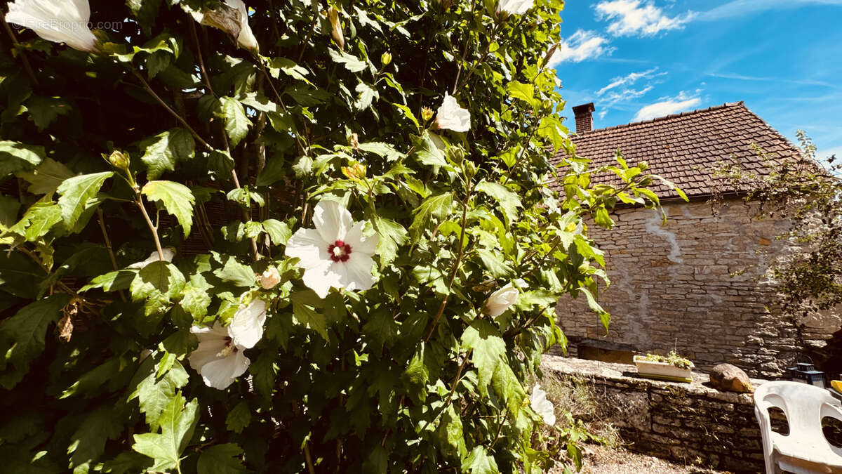Maison de campagne à Massangis au prix de 55 000 € F.A.I - photo 6