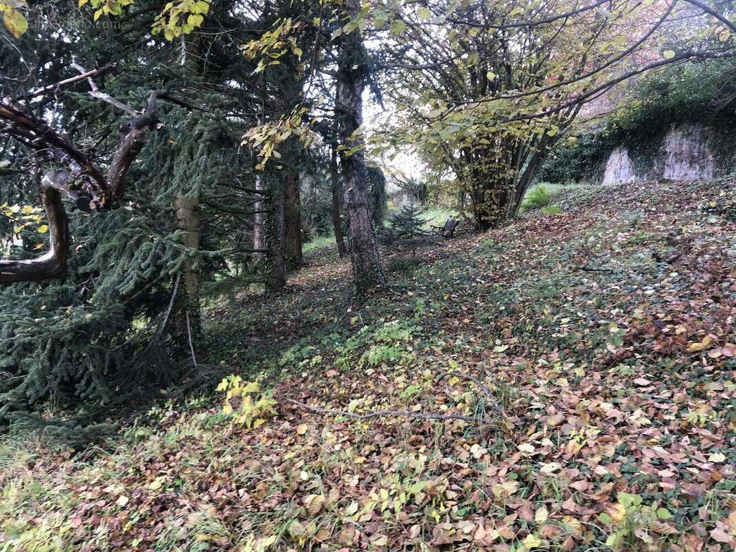 Photo 3 - Terrain à THIZY