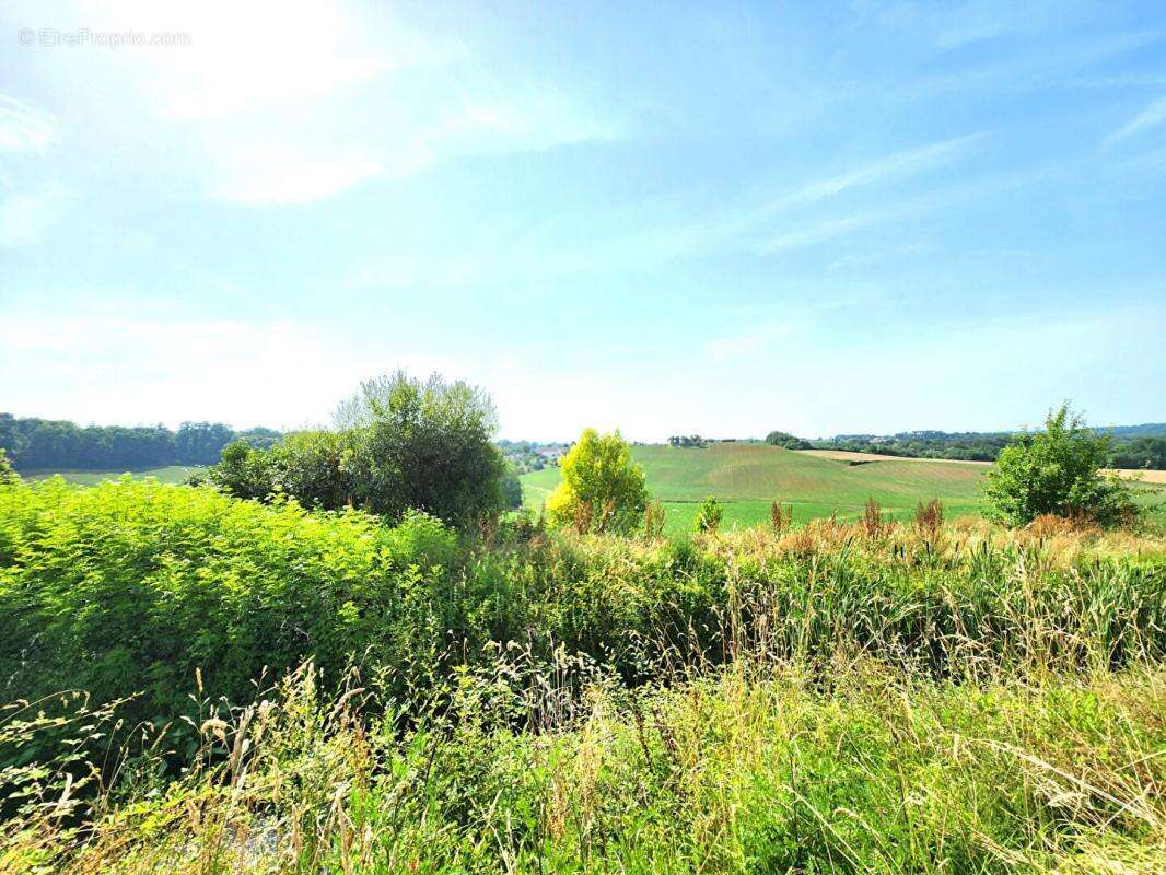 Maison à MONTFORT-EN-CHALOSSE
