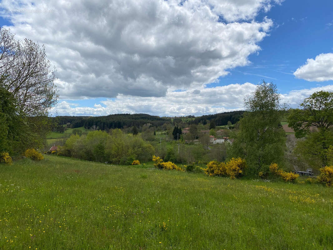 Terrain à CRAPONNE-SUR-ARZON