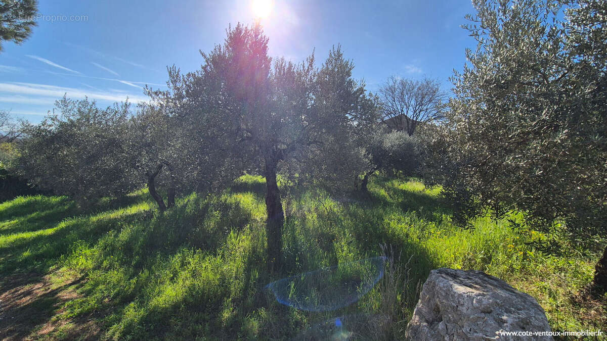 Terrain à AUBIGNAN