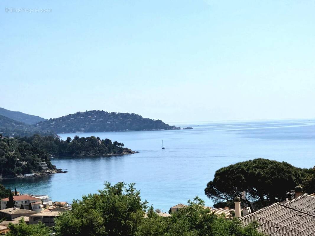 Maison à LE LAVANDOU