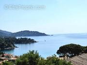 Maison à LE LAVANDOU