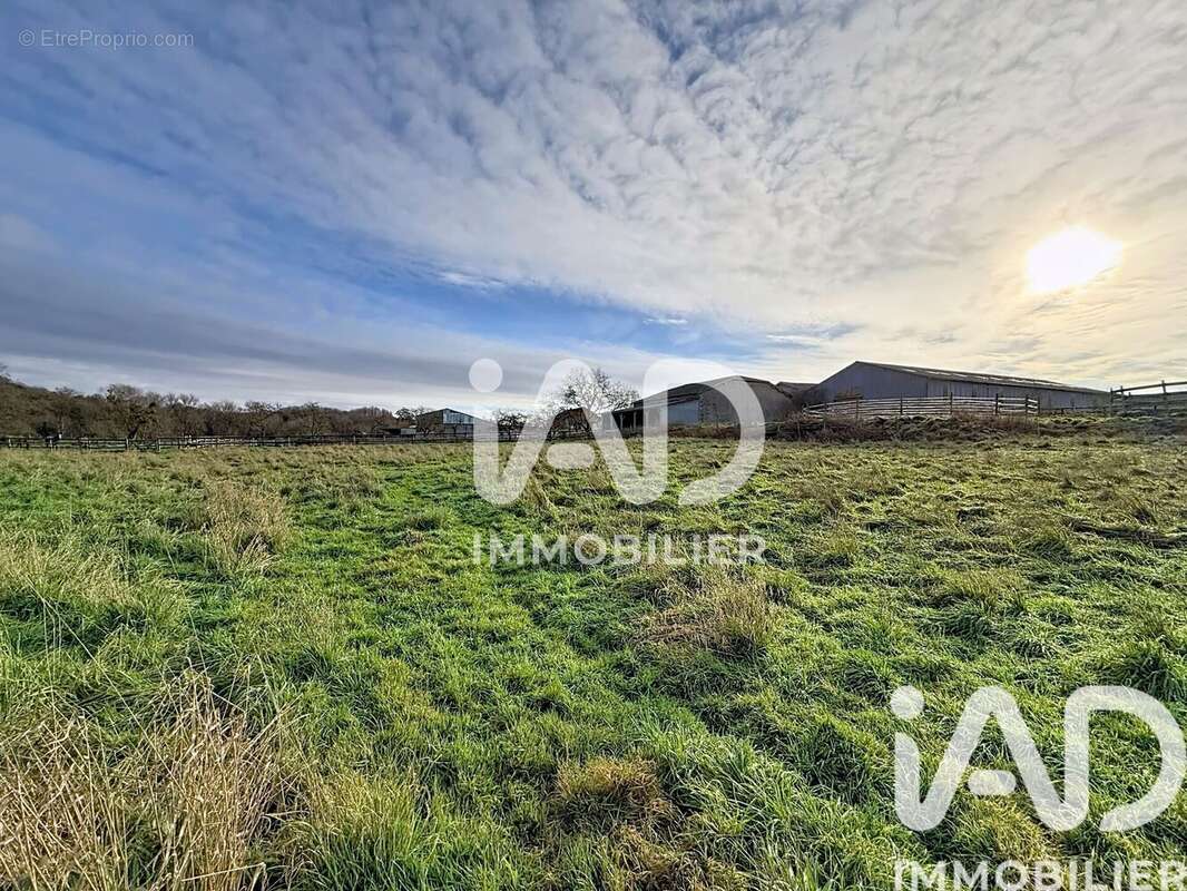 Photo 3 - Maison à NUBECOURT