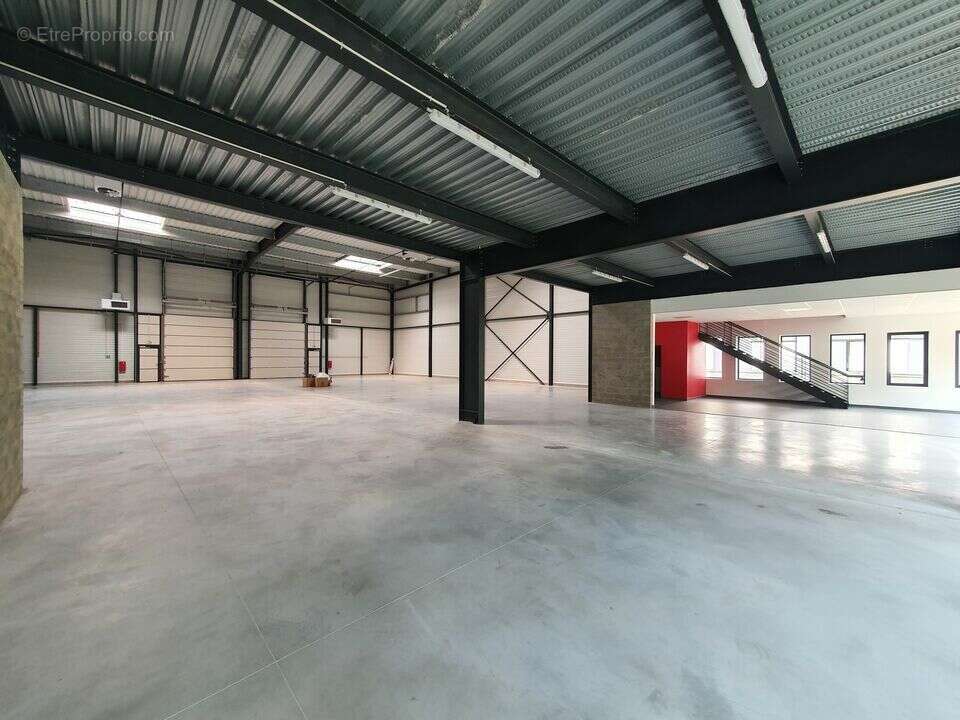 649 m² à Bailly-Romainvilliers  - photo 5