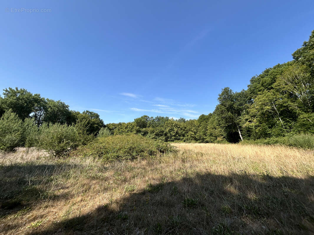 Propriété 3,7 ha : maison ancienne rénovée, mare, friche, bois, prairie - photo 20