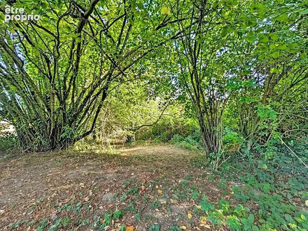 Maison à rénover à Saint-Aubin-d'Aubigné - Grand terrain de 1600 m² - photo 15