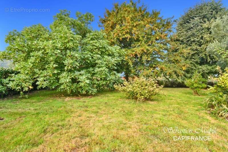 Maison à ROZ-SUR-COUESNON
