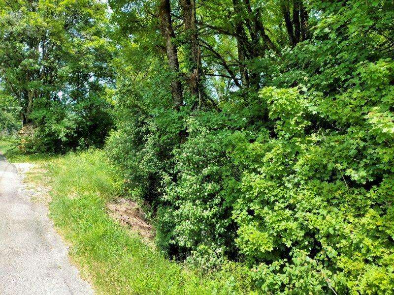 Photo 3 - Terrain à LUZECH