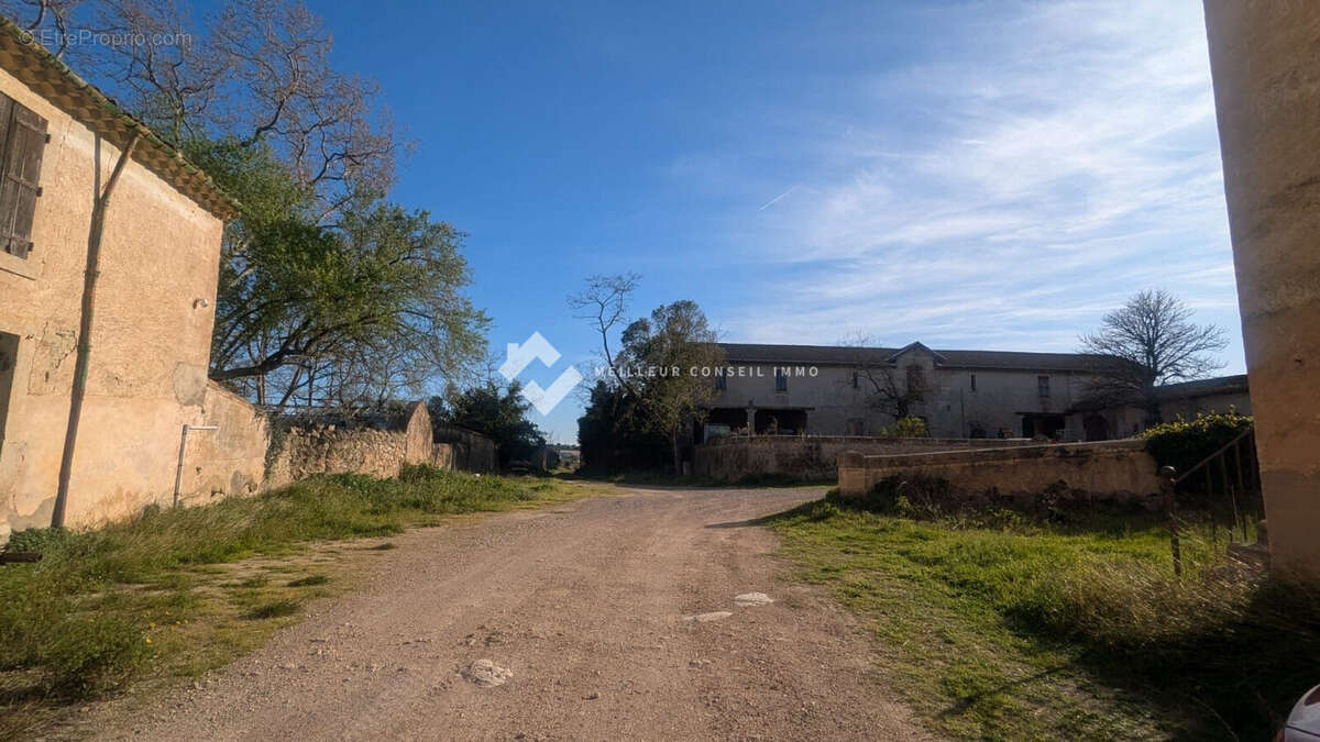 Maison 3000 m² à Puisserguier  - photo 6
