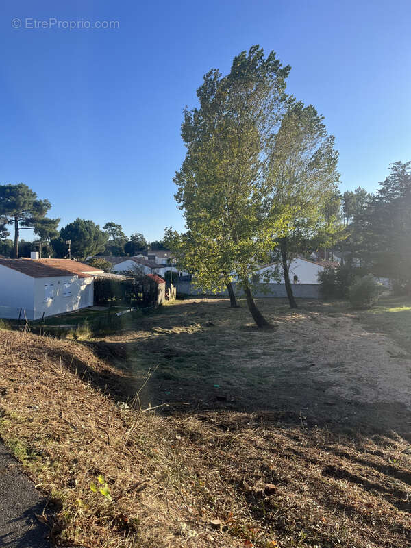 Terrain à LA TRANCHE-SUR-MER