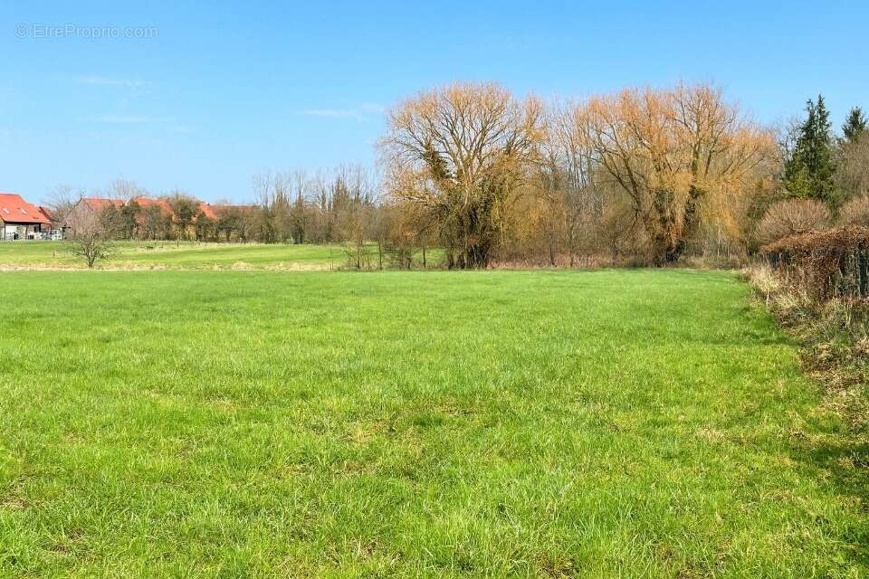 Terrain à TOURMIGNIES
