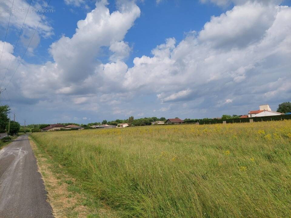Terrain à MONTAUBAN