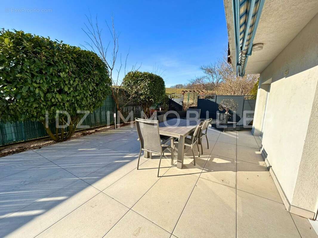 Maison à BUSCHWILLER