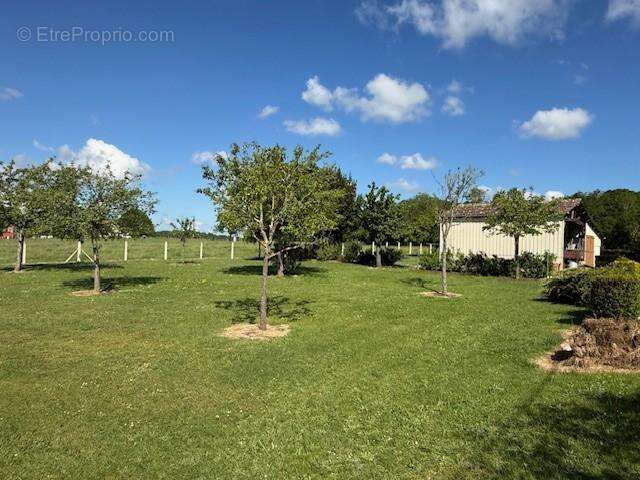 Maison 98 m² à Tordouet  - photo 3