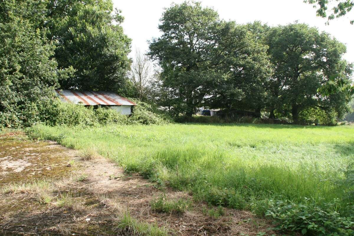 Vente Terrain Guehenno(56420) 34 000ï¿œ - photo 2