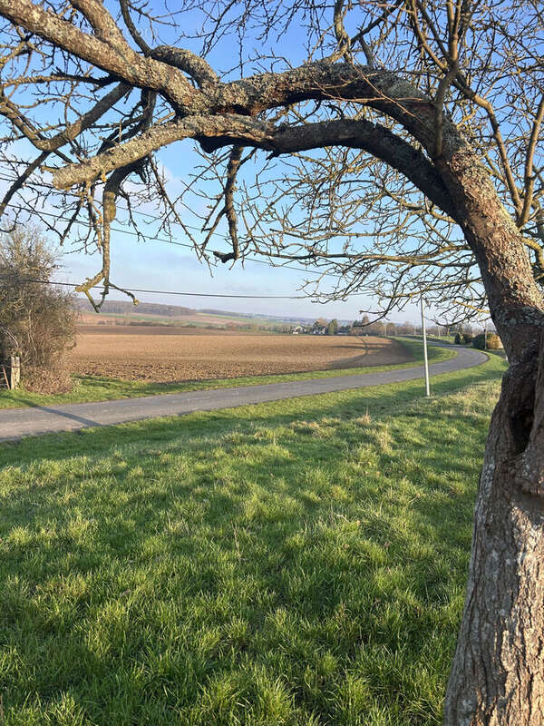 Photo 6 - Terrain à LA FERTE-GAUCHER