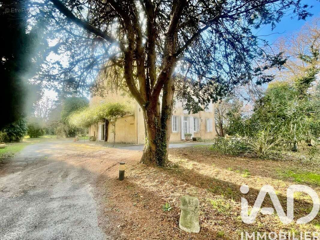 Maison 411 m² à Fendeille  - photo 2