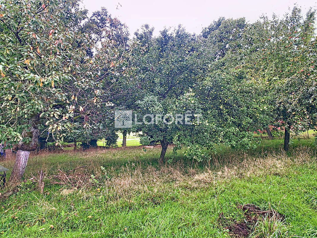 Terrain à CARENTOIR