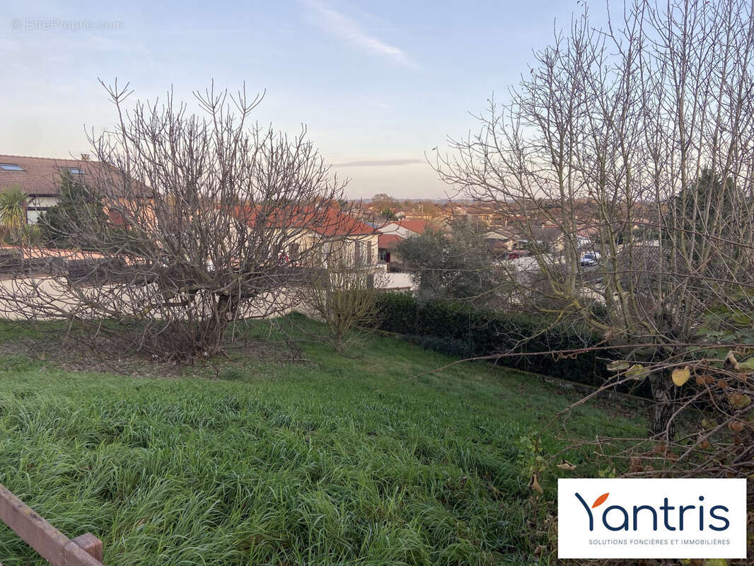 Terrain à FROUZINS