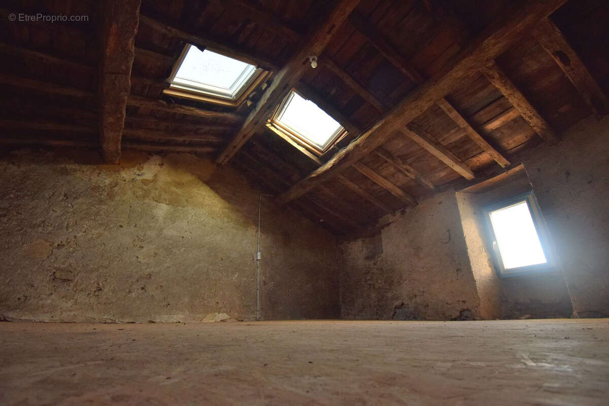 Maison à VIEILLEVIGNE