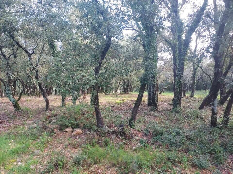 Terrain à SAINTE-ANASTASIE-SUR-ISSOLE