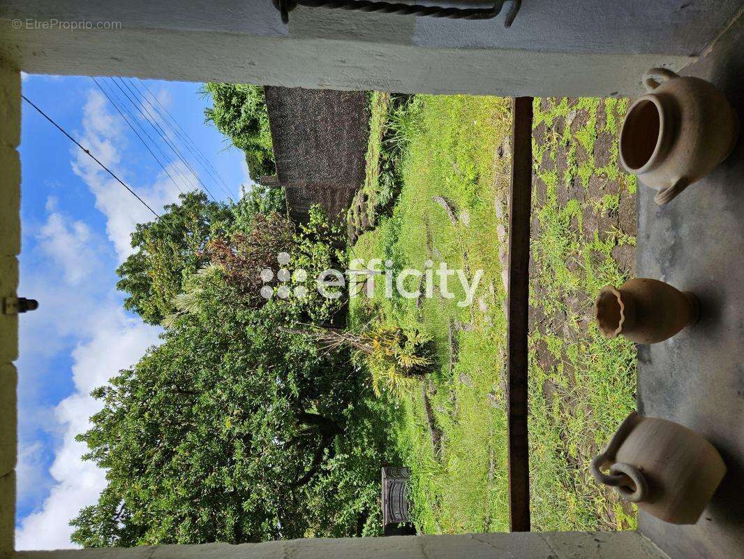 Maison 173 m² à Saint-Claude  - photo 6