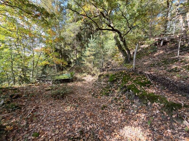 Maison à SAINT-HILARION