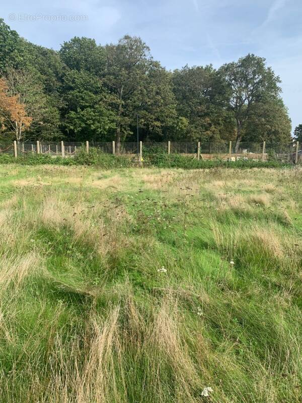 Terrain à SAINTRY-SUR-SEINE