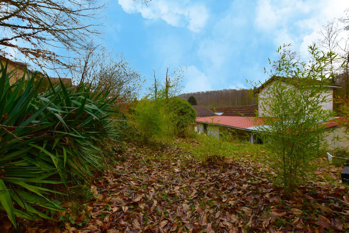 Maison à LES ESSARTS-LE-ROI