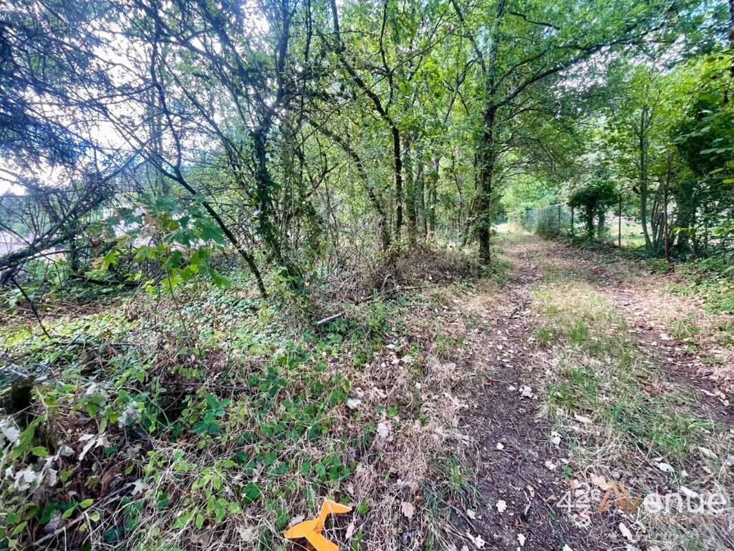 Terrain 1212 m² à Bas-En-Basset  - photo 5