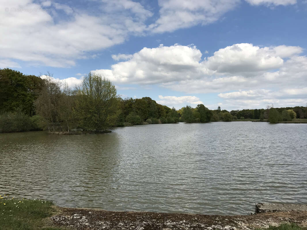 Maison à BAZOCHES-SUR-LE-BETZ