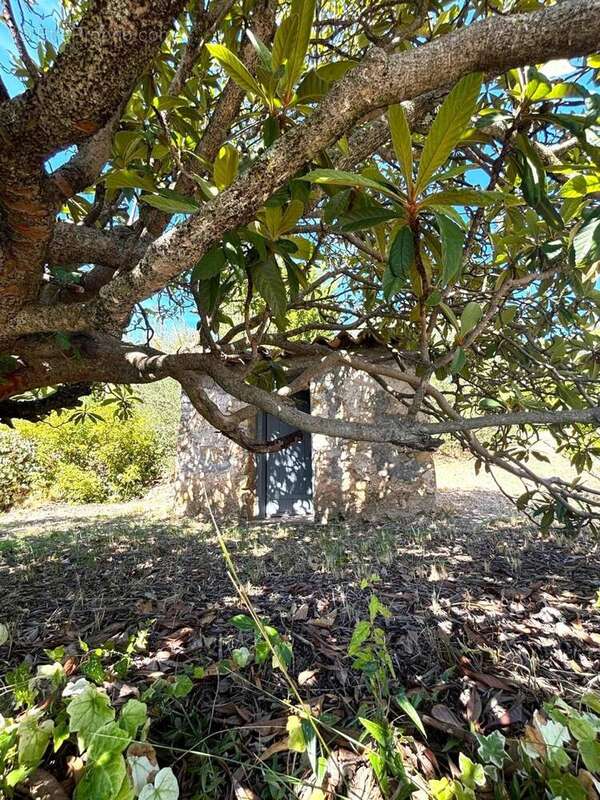 Photo 8 - Maison à COTIGNAC